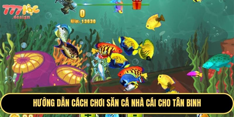 Bắn là trúng, cơ hội hái tiền hấp dẫn đang chờ 