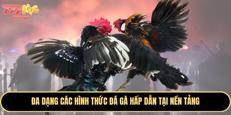 Trải nghiệm đá gà với tỷ lệ kèo hấp dẫn nhất hiện nay